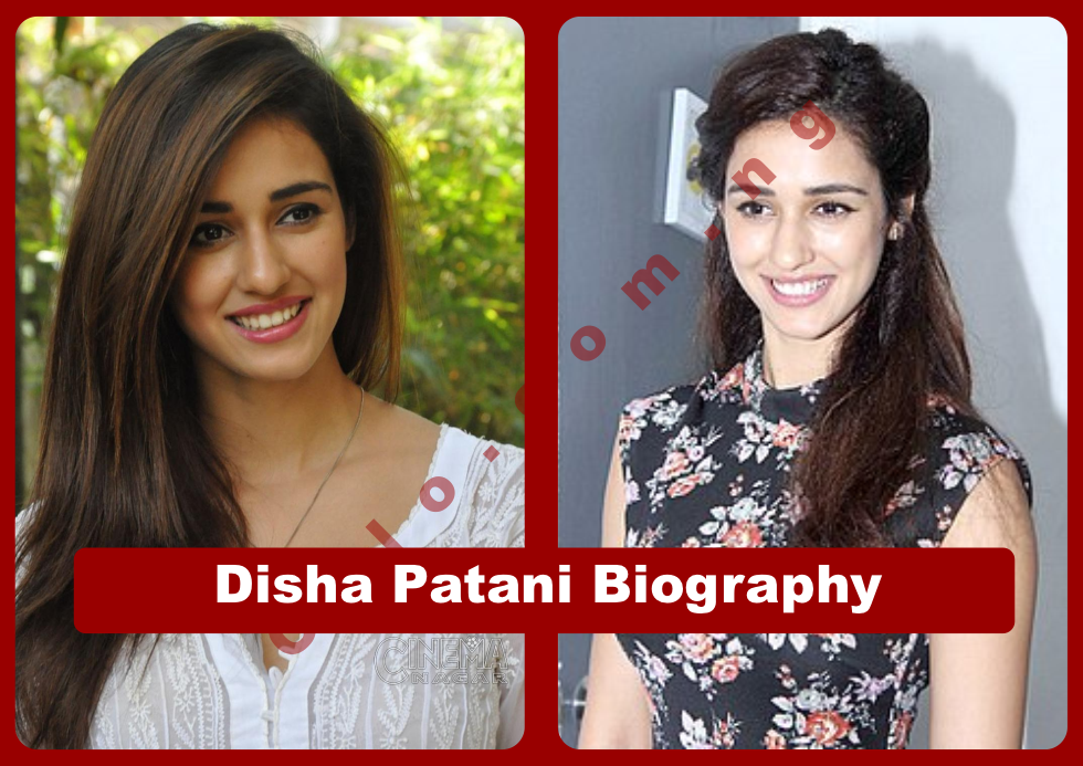 Disha Patani Biography: Age, Net Worth & Movies